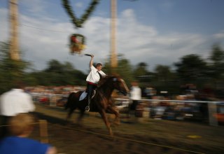 © _MG_2780.JPG © _MG_2780.JPG