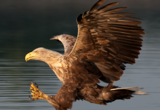 &copy; Kurverwaltung M&ouml;nchgut