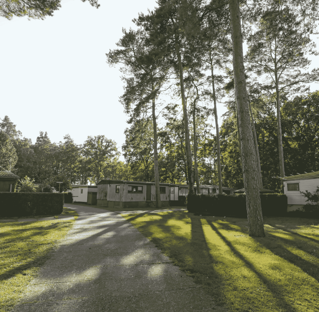 Weg zum Campingplatz // &copy; TMV/Gohlke