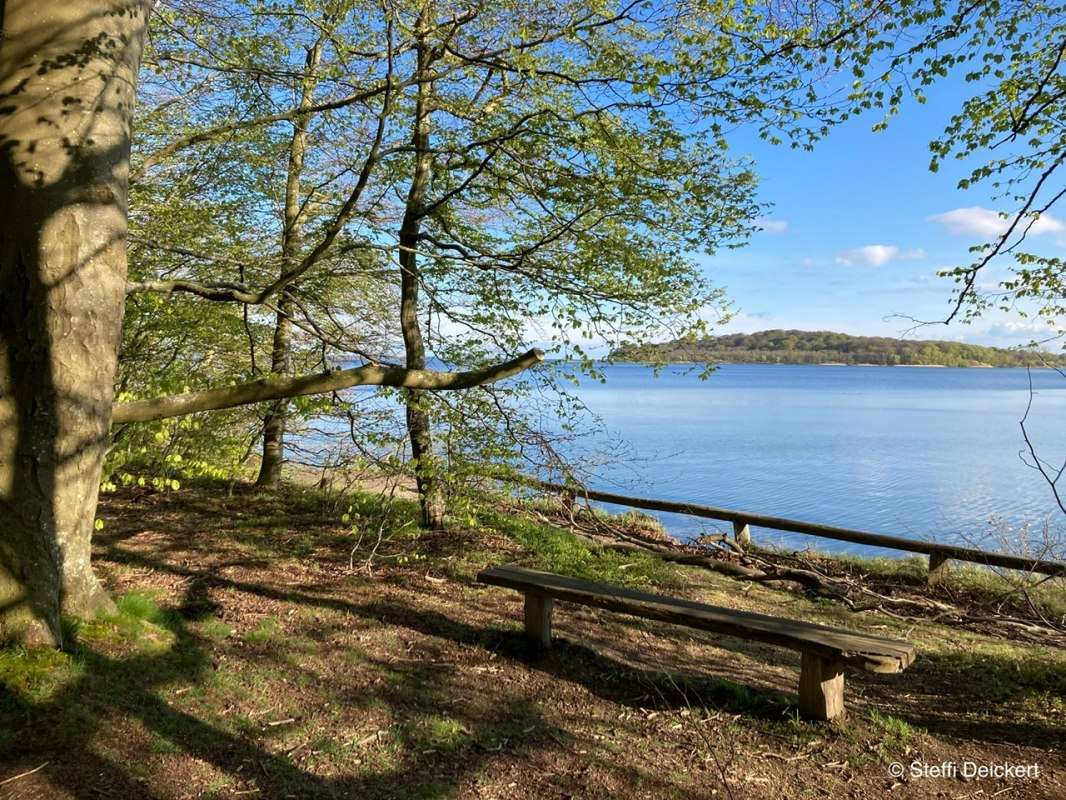 © Foto Steffi Deickert © Foto Steffi Deickert