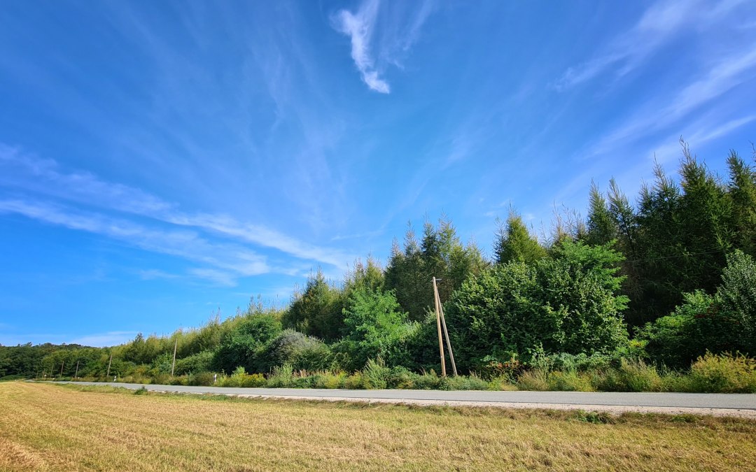 20240902_151139, © Landesforst MV