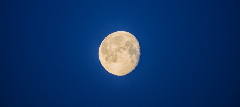 © Binzer Bucht Tourismus © Binzer Bucht Tourismus