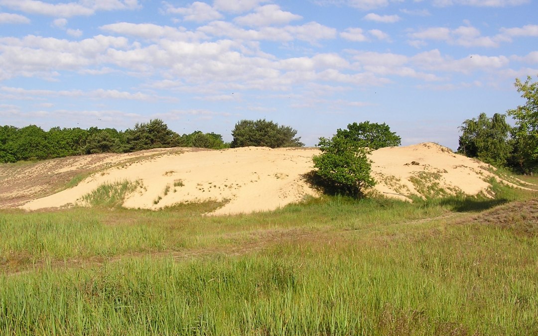 Widok na wydmy śródlądowe (pustynie) Altwarp, © Jürgen Barth