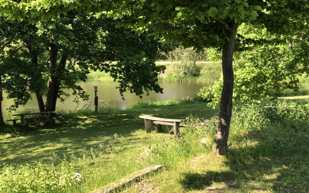 De molenvijver (zuidelijke uiteinde van het Brohmer stuwmeer) direct aan het plein, © SG