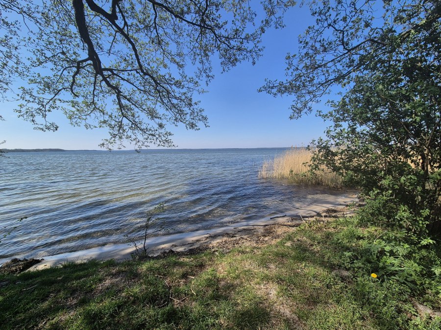 20250420_151032, © Gina Schulenberg 20250420_151032, © Gina Schulenberg