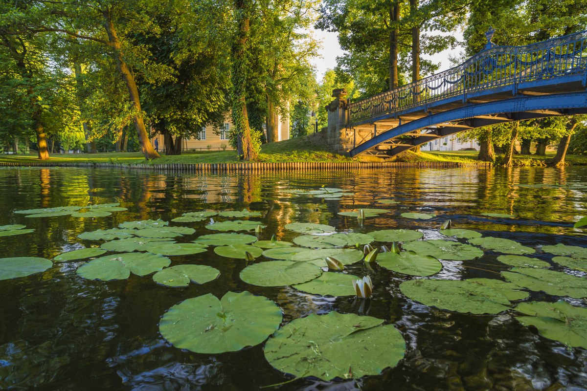 In Mirow kasteelpark // © SSGK M-V / Timm Allrich In Mirow kasteelpark // © SSGK M-V / Timm Allrich