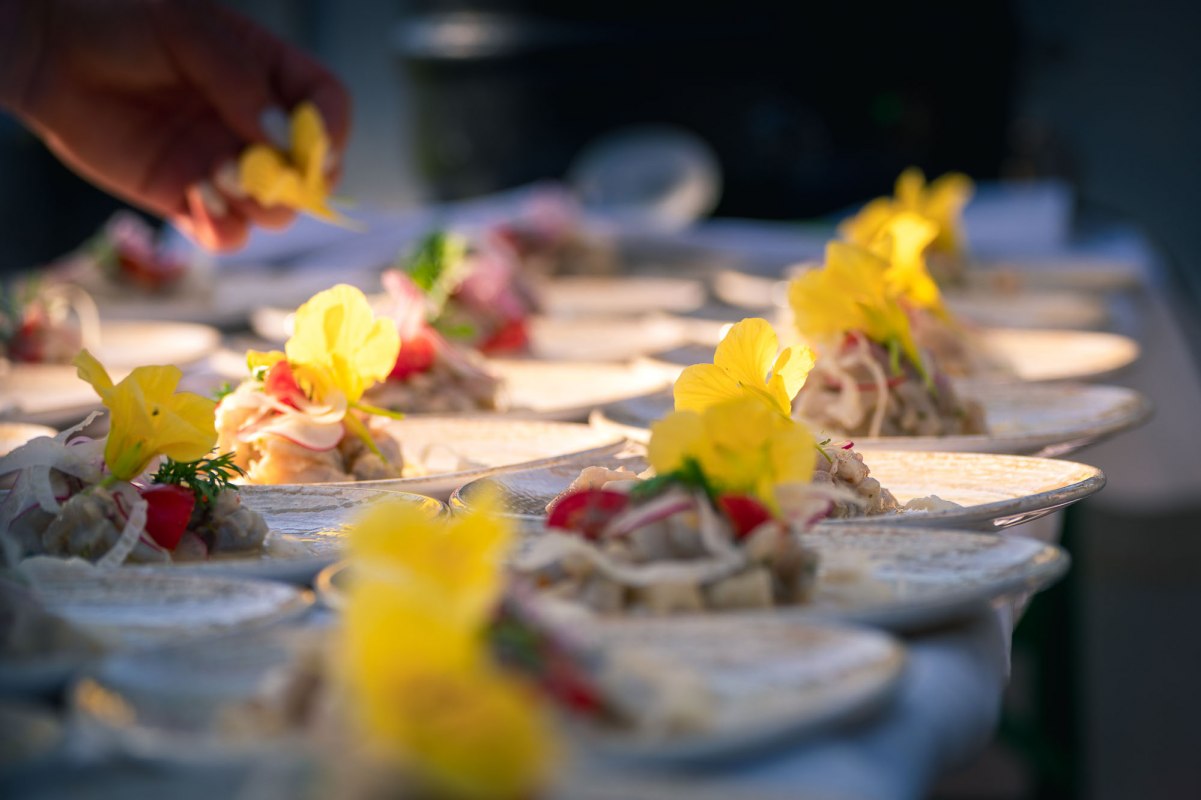 Diner in de kas bij Gut Rosengarten // &copy; Stefan Pocha