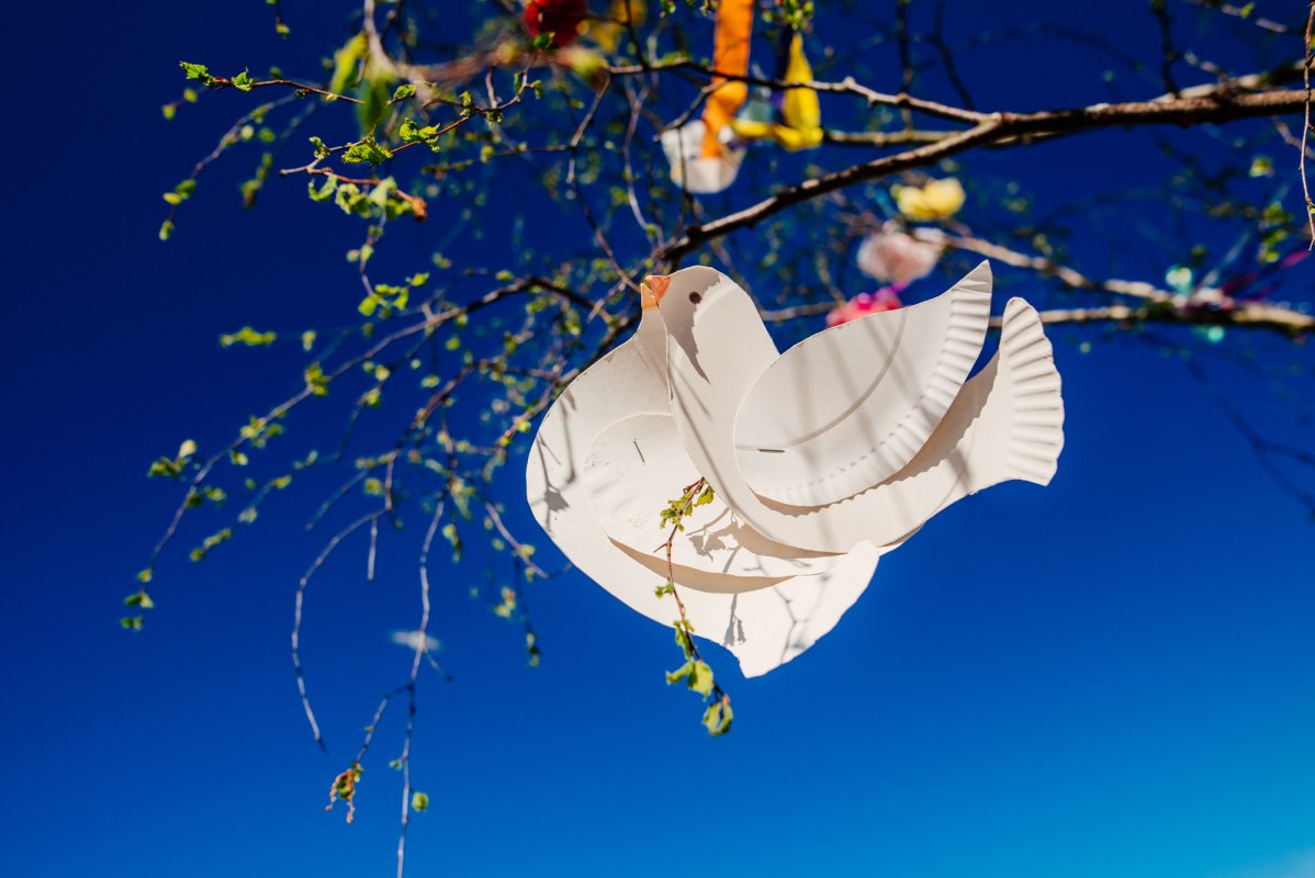 &copy; Binzer Bucht Tourismus