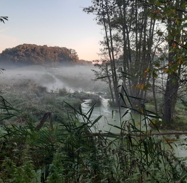 © Andreas Ermisch © Andreas Ermisch