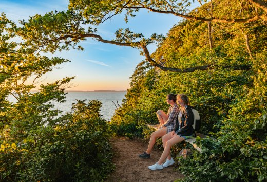 If you still have some time to spare, you should definitely plan a stopover at the Lietzow cliffs. The view over the Bodden in the light of the setting sun is fabulous., © TMV/Tiemann Two women sit in the forest on the cliffs and look out over the Bodden at sunset.