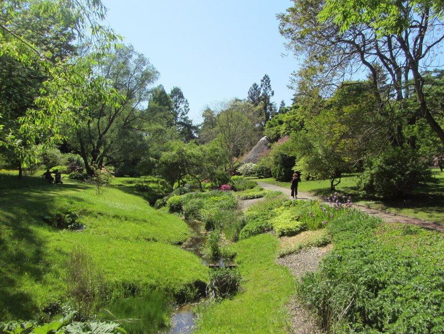 Ogród botaniczny w Rostocku, © Joachim Kloock