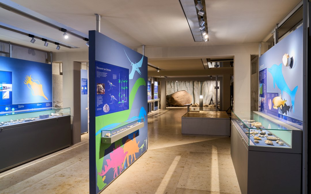 Historia Ziemi: od dinozaurów do ostatniej epoki lodowcowej, © Pommersches Landesmuseum / Norman Posselt