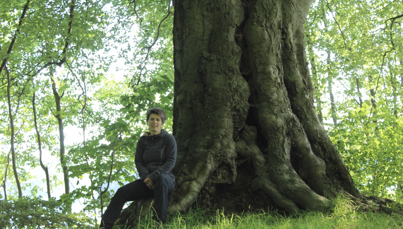 Tree meditation, © Dr. Dorit Stövhase-Klaunig