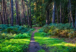 &copy; insel-fotograf.eu, Andreas Dumke