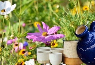 © MuSeEn gGmbH © MuSeEn gGmbH