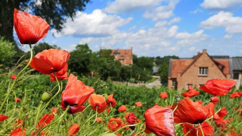 Dorp, © Schloss Ulrichshusen
