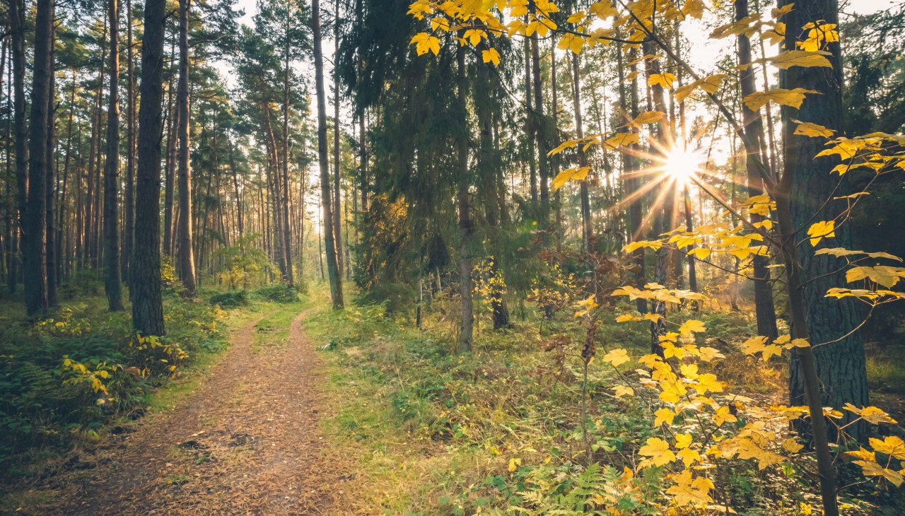 Baabe_baaber-heide_2_c_Mirko-Boy, © Mirko Boy Baabe_baaber-heide_2_c_Mirko-Boy, © Mirko Boy