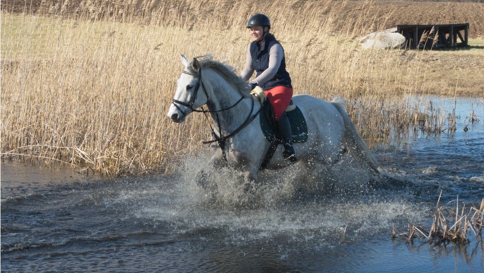 Ritjes in de natuur en plezier zijn voorgeprogrammeerd bij Rodenbergs // © Reitanlage Rodenberg Ritjes in de natuur en plezier zijn voorgeprogrammeerd bij Rodenbergs // © Reitanlage Rodenberg
