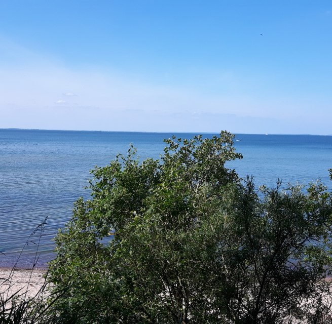 Steine und Muscheln sammeln und dabei einen tollen Blick auf die Insel Rügen // © tvv-michaelis Steine und Muscheln sammeln und dabei einen tollen Blick auf die Insel Rügen // © tvv-michaelis