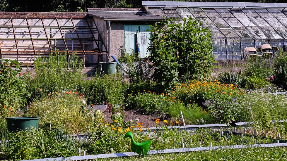 &copy; Bildautor/ Fotograf  Heike Stegmann