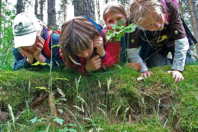 Zoeken naar aanwijzingen voor jong en oud, © Foto: Nationalparkamt Müritz Zoeken naar aanwijzingen voor jong en oud, © Foto: Nationalparkamt Müritz