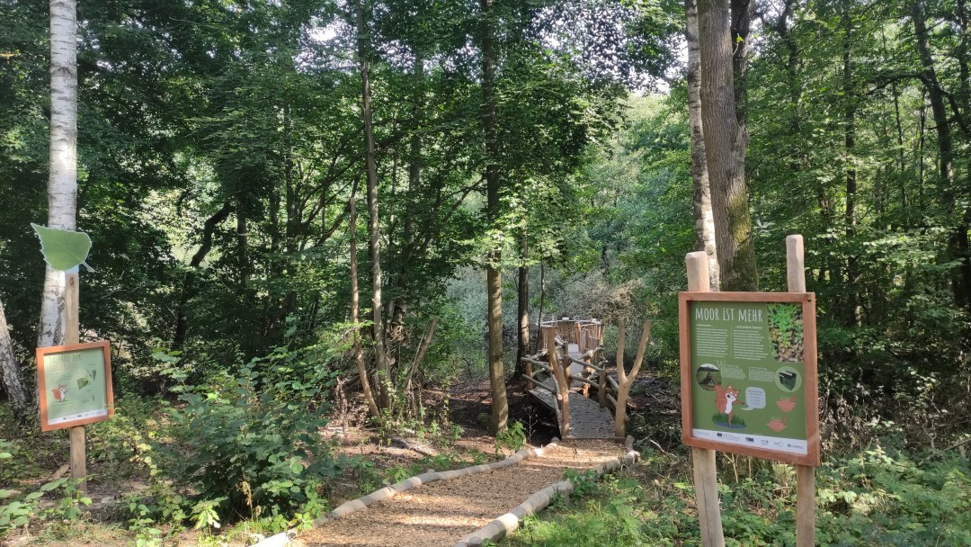 way into the moor, © Jana Koch