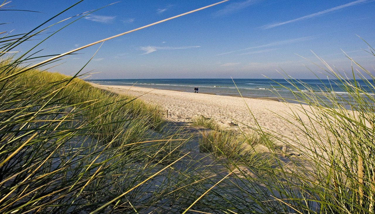 Uitzicht op het strand van Prerow, © ginkgomare