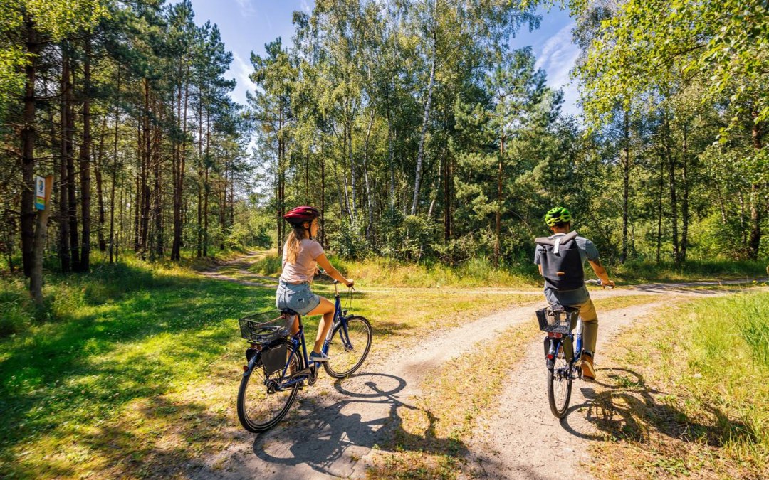 Bicycle tour through the Rostocker Heide, © TMV/Tiemann