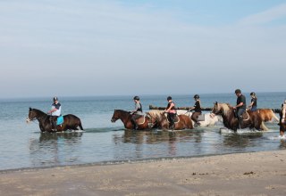 Paardrijden aan de Bodden en Baltische kust // &copy; Reit- und Feriencamp Illner