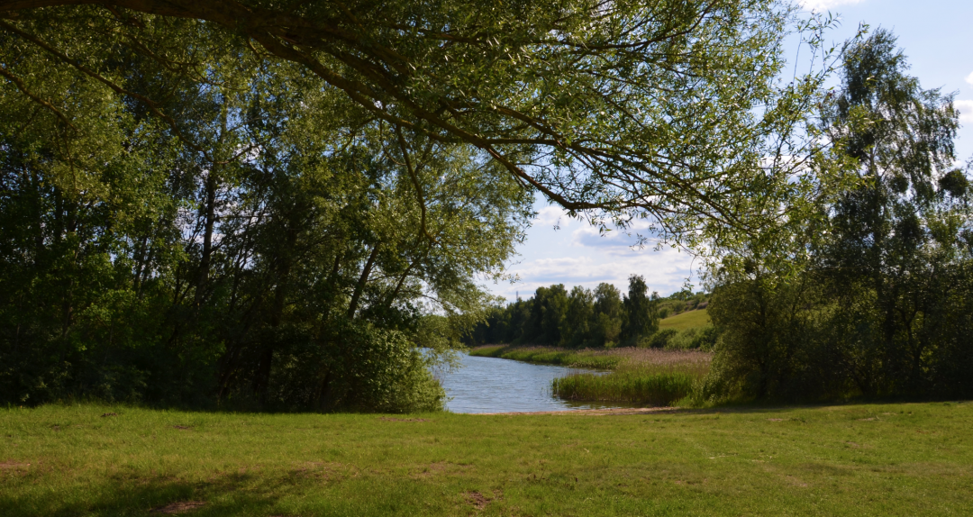 Lake Cantnitz bathing area north shore 4, © Martin Möller