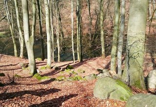 Skały o różnych rozmiarach można znaleźć w przełomowej dolinie Warnow, © TMV