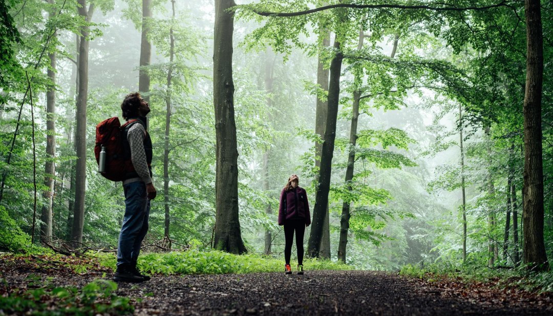 Een man en een vrouw staan in een bos en kijken omhoog naar de boomtoppen