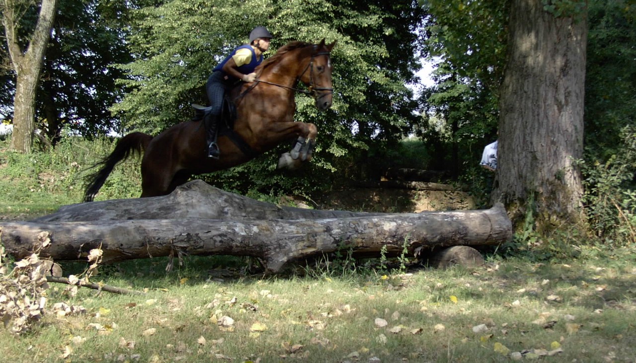 Equestrian center Sabine Bender, © Sabine Bender