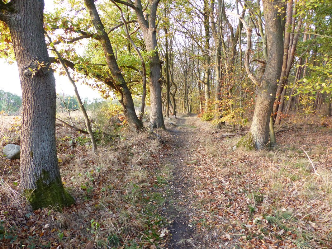 Szlak turystyczny w pobliżu Kritzow, &copy; Naturpark Sternberger Seenland