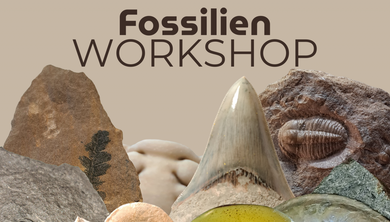 Fossil collector workshop IMX (1), © Ronald Klafack Fossil collector workshop IMX (1), © Ronald Klafack