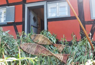 &copy; Kevin Schiemann / KVW Wustrow