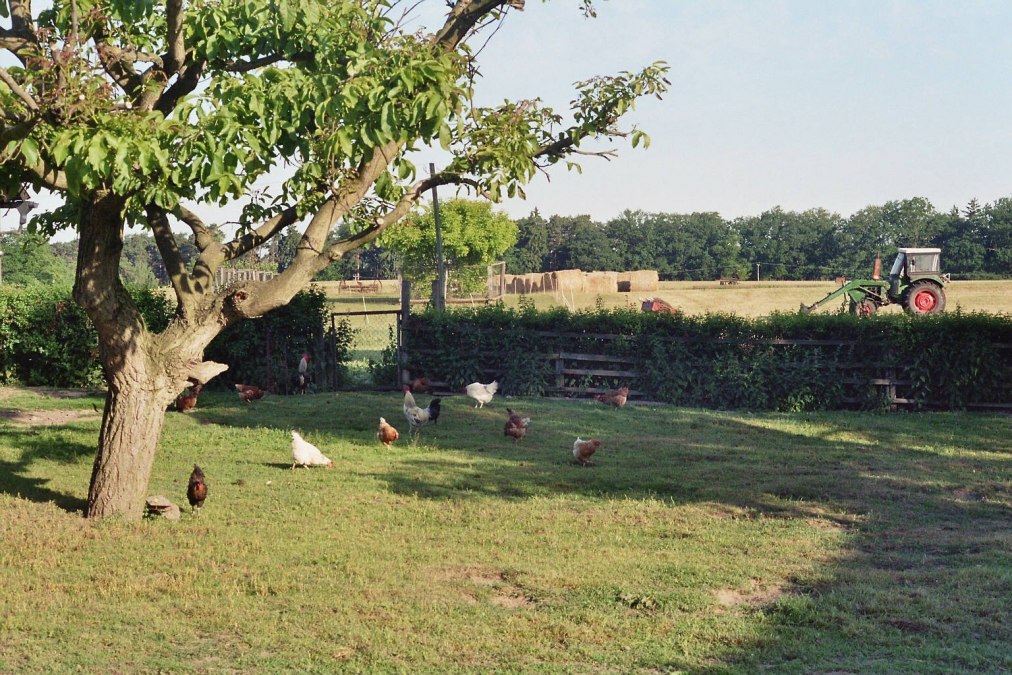 Farma - jak za czasów babci, © Bernd Friedrich