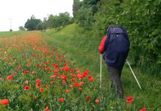 Wide land, so close to heaven - pilgrimage in Mecklenburg-Vorpommern, &copy; Archiv Ev.-Luth. Kirchenkreis Mecklenburg