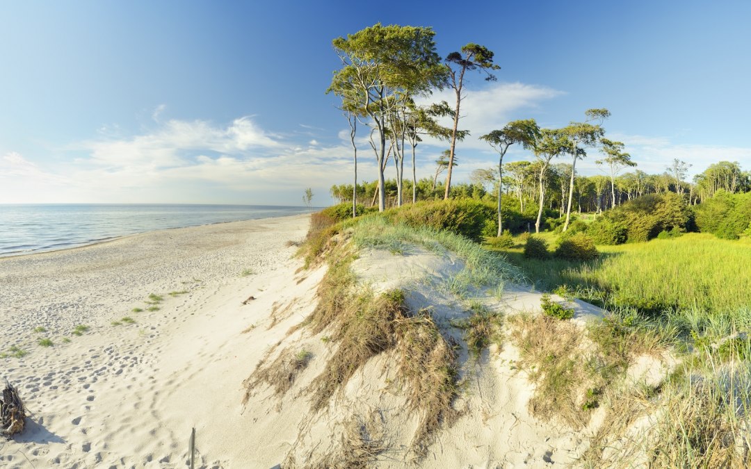 Door de wind gevormde duinen ontmoeten kustbos aan de westkust van de Oostzee. Tussen fijn zand en weelderig groen opent het uitzicht zich naar de uitgestrekte zee - een plek om te ontdekken, waar de natuur zich vrij ontvouwt en elke stap tot nieuwe perspectieven leidt. // &copy; Francesco Carovillano