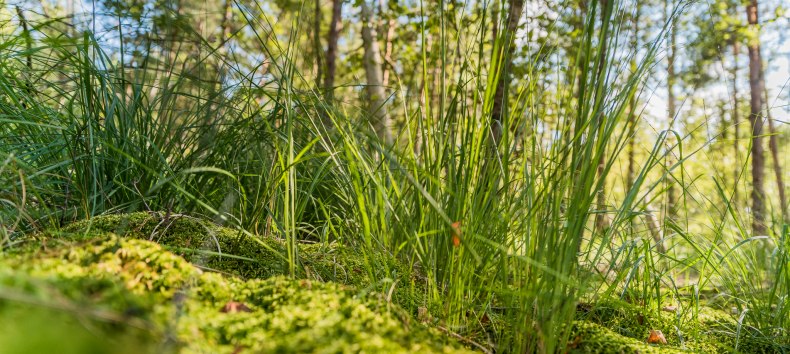 Moor hike // © André Pristaff / TuK Moor hike // © André Pristaff / TuK