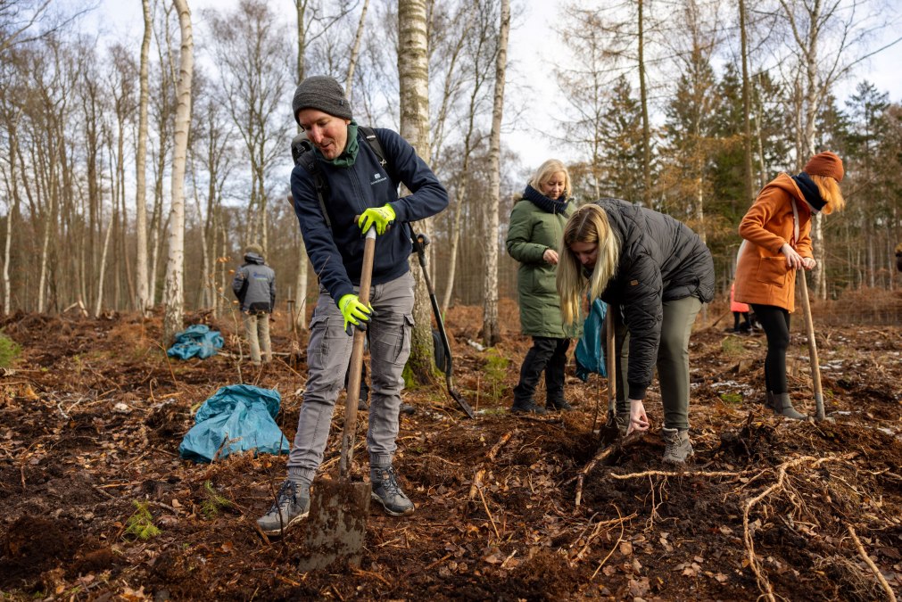 Doing good while planting trees and talking to colleagues about something other than work? Use the tree planting campaign as a company, © Rostocker Citylauf e.V.