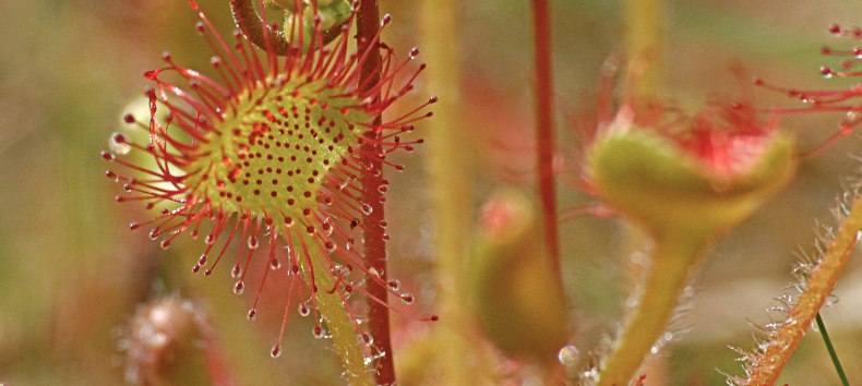 &copy; J&ouml;rg Gast