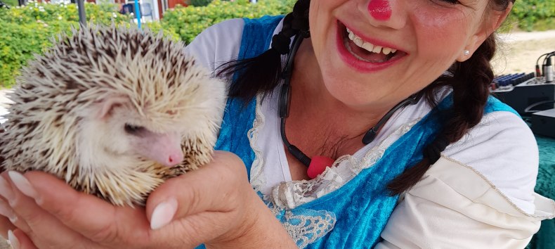 &copy; TDG Rechlin mbH