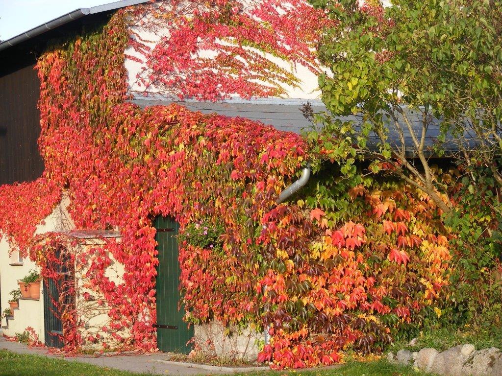 &copy; Rainer Ulrich