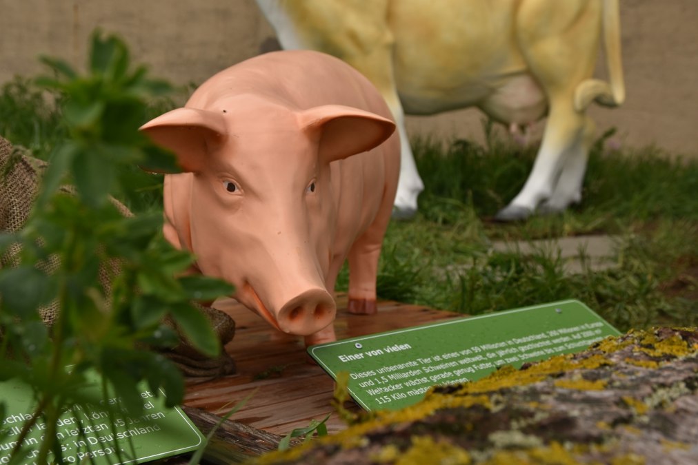 Meat station at the Weltacker, © Lena Willisch