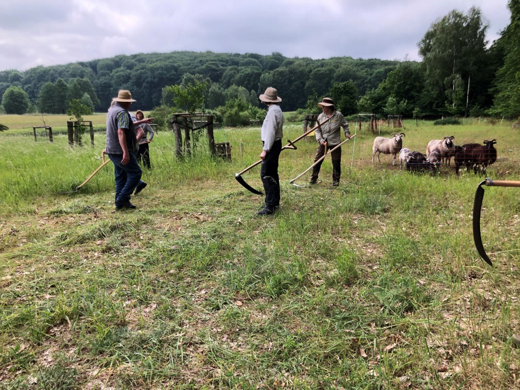 Mowing and dengel course 2024 // &copy; Heike Brechler