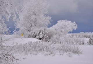 &copy; Nationalparkamt Vorpommern