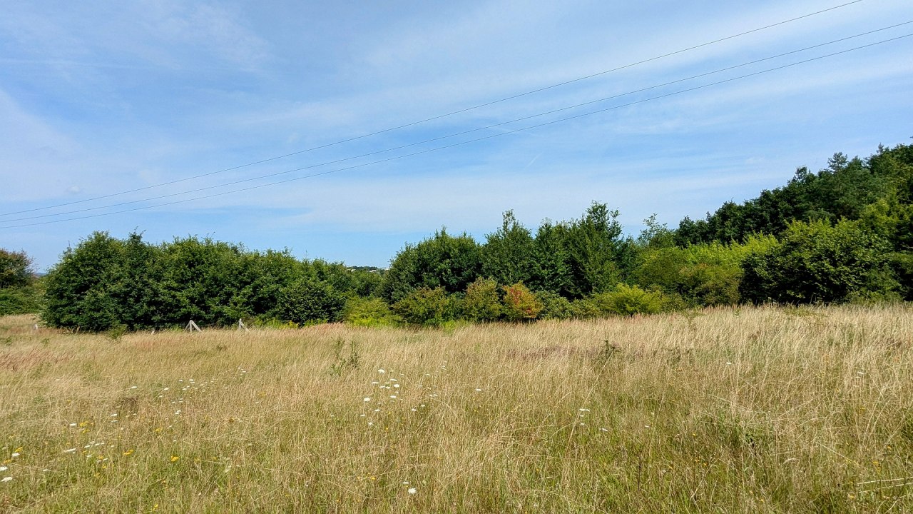 Klimaatbos Neubrandenburg // &copy; Landesforst MV