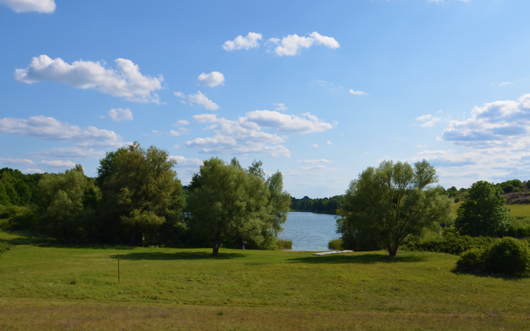 Lake Cantnitz bathing area north shore 3, © Martin Möller