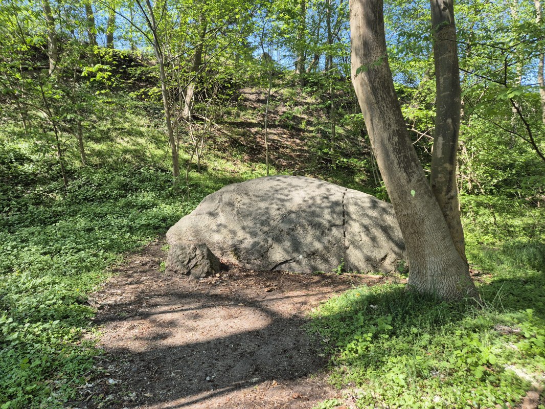 20250420_135903, &copy; Gina Schulenberg